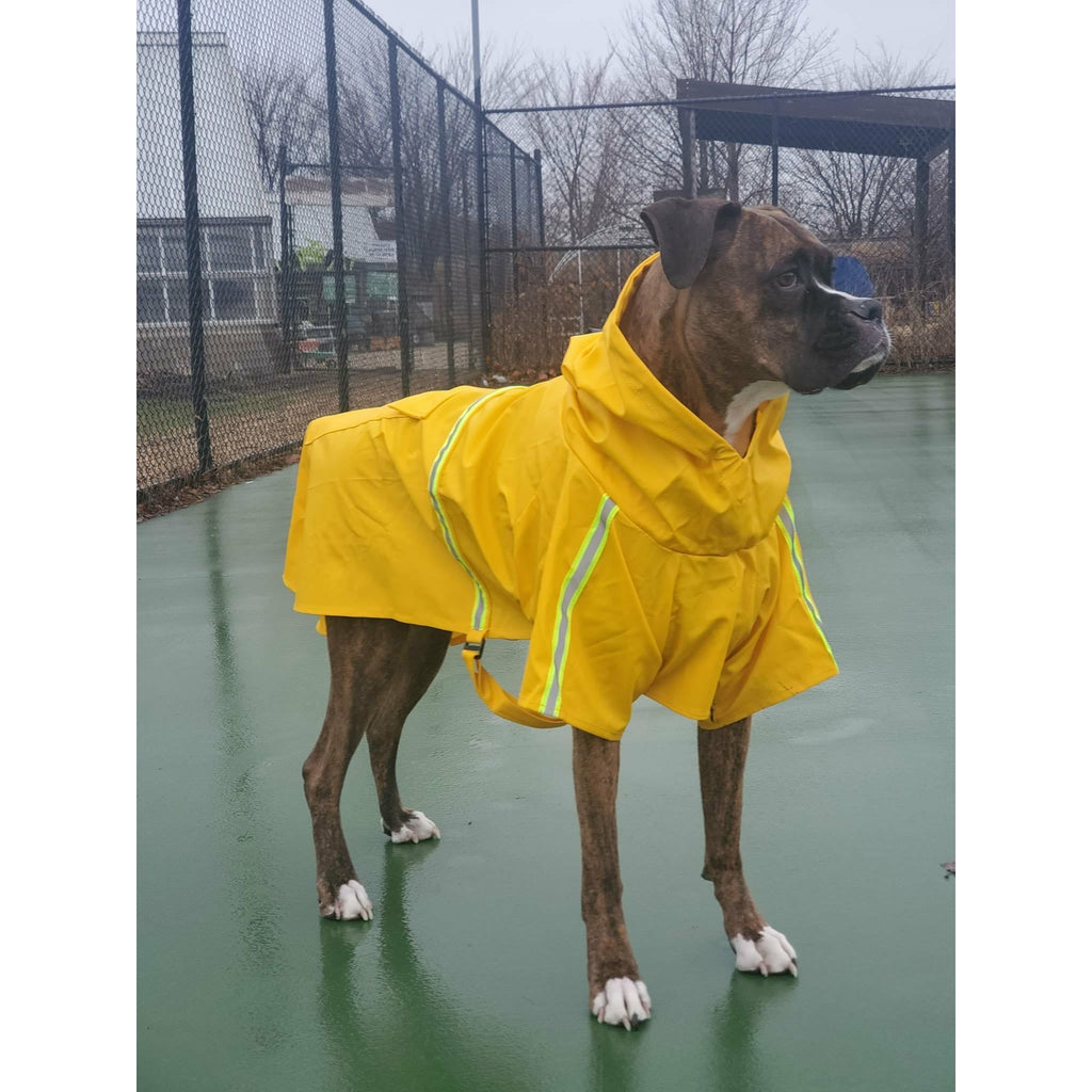 Boxer Rain Trench Coat