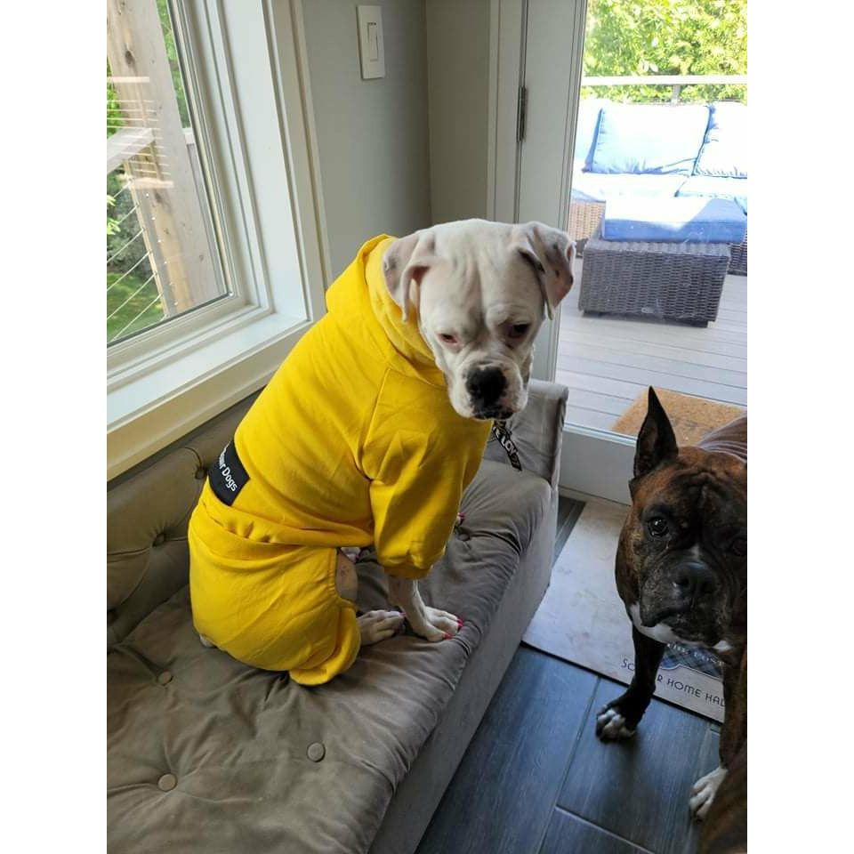 The Boxer Blazing Yellow Sweatsuit Edition
