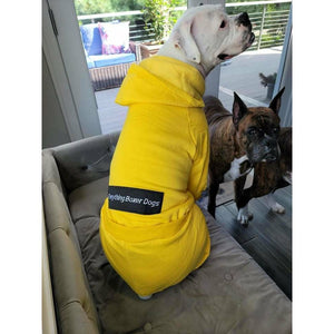 The Boxer Blazing Yellow Sweatsuit Edition
