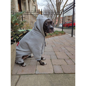 Gray Doggie Sweats