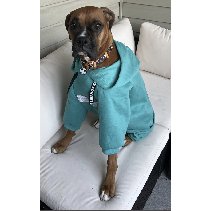 The Famous Boxer Teal Sweatsuit 2.0