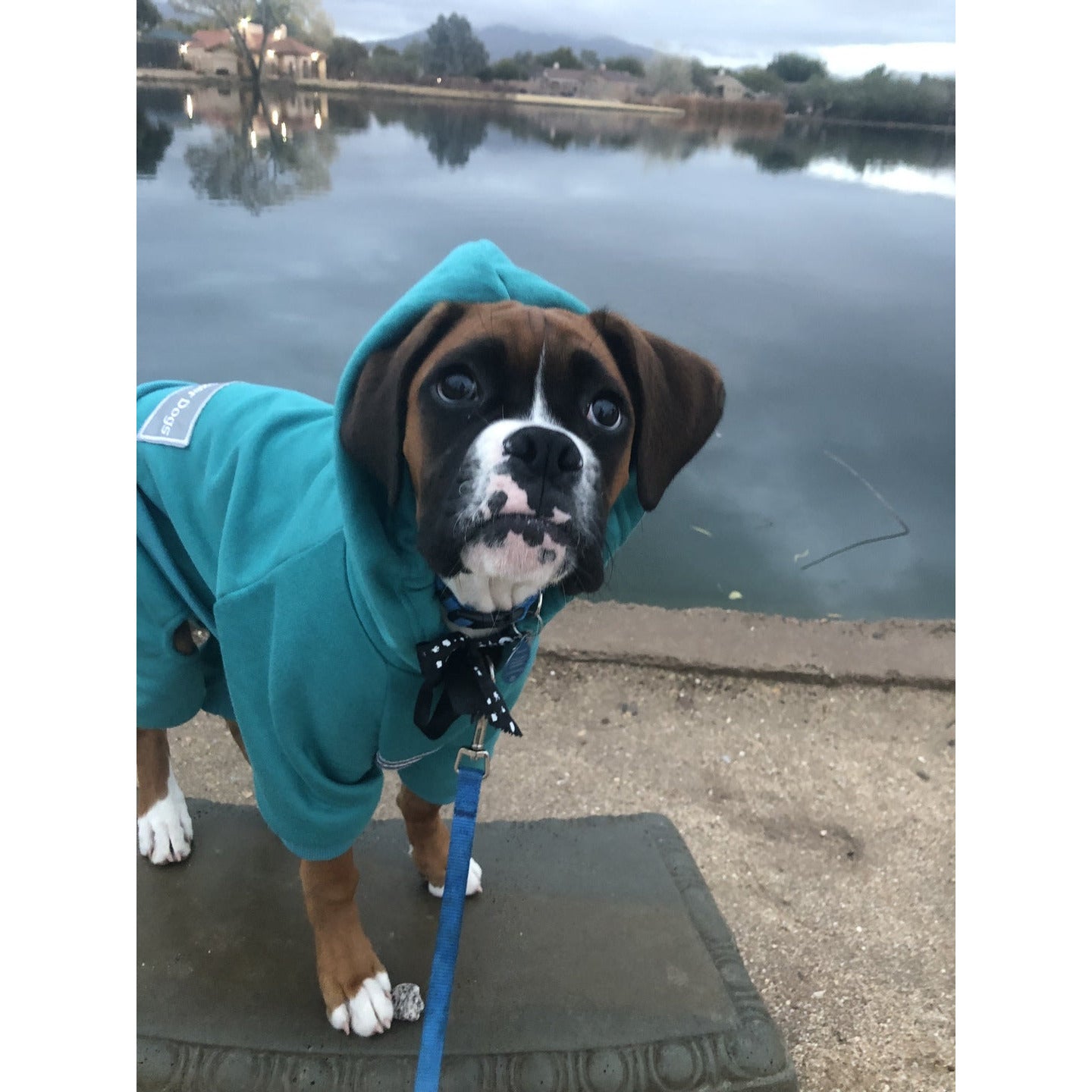 The Famous Boxer Teal Sweatsuit 2.0